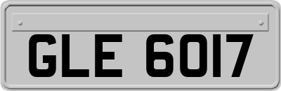 GLE6017