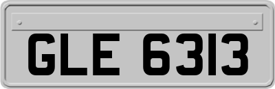 GLE6313