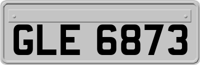 GLE6873