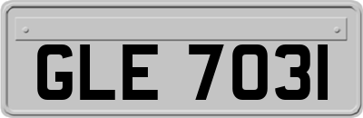 GLE7031