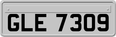 GLE7309