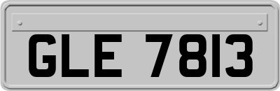 GLE7813