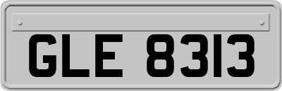 GLE8313