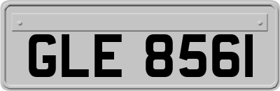 GLE8561