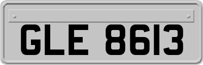 GLE8613