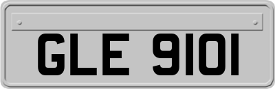 GLE9101