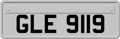 GLE9119