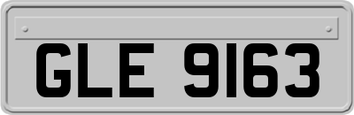 GLE9163