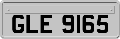 GLE9165