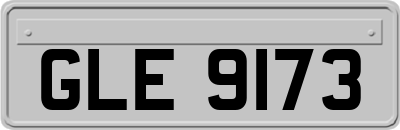 GLE9173