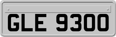 GLE9300