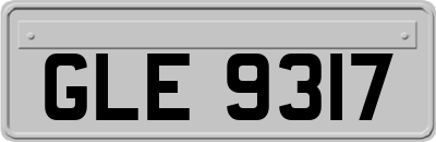 GLE9317