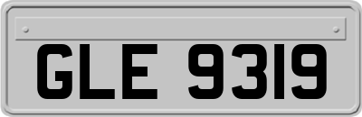 GLE9319