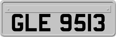 GLE9513