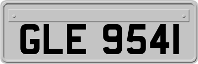 GLE9541