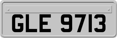 GLE9713