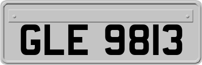GLE9813