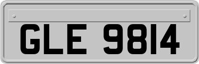 GLE9814