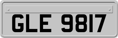 GLE9817