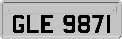 GLE9871
