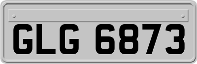 GLG6873