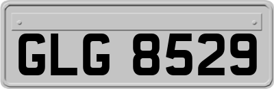 GLG8529