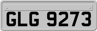 GLG9273