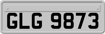 GLG9873