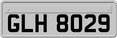 GLH8029