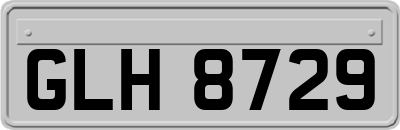 GLH8729