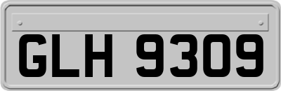 GLH9309