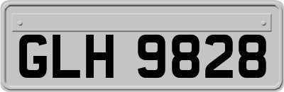 GLH9828