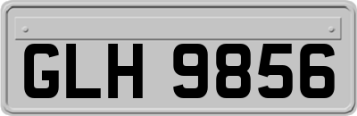 GLH9856