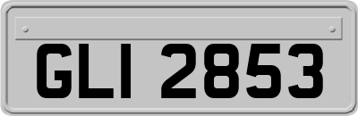 GLI2853