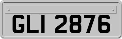 GLI2876