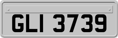 GLI3739