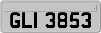 GLI3853