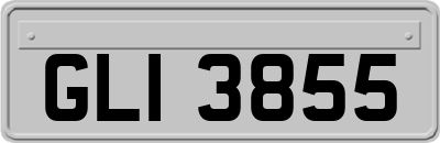 GLI3855