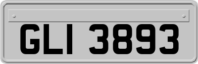 GLI3893