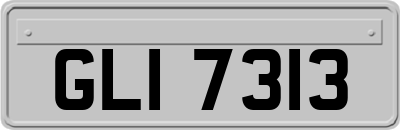 GLI7313