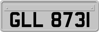 GLL8731