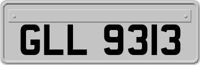 GLL9313