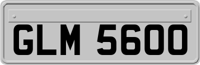 GLM5600