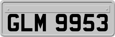 GLM9953