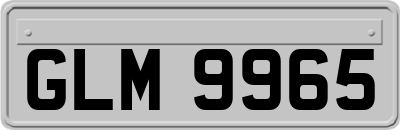 GLM9965