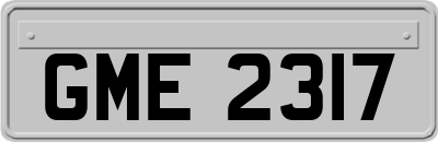 GME2317
