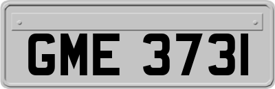 GME3731