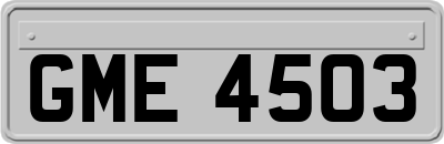 GME4503