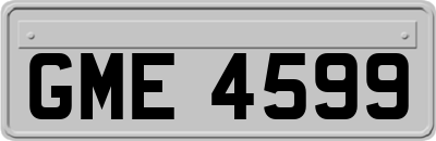 GME4599