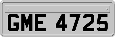 GME4725